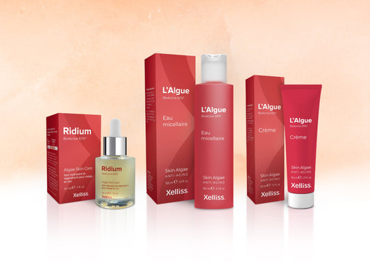 Pack Éclat des Fêtes