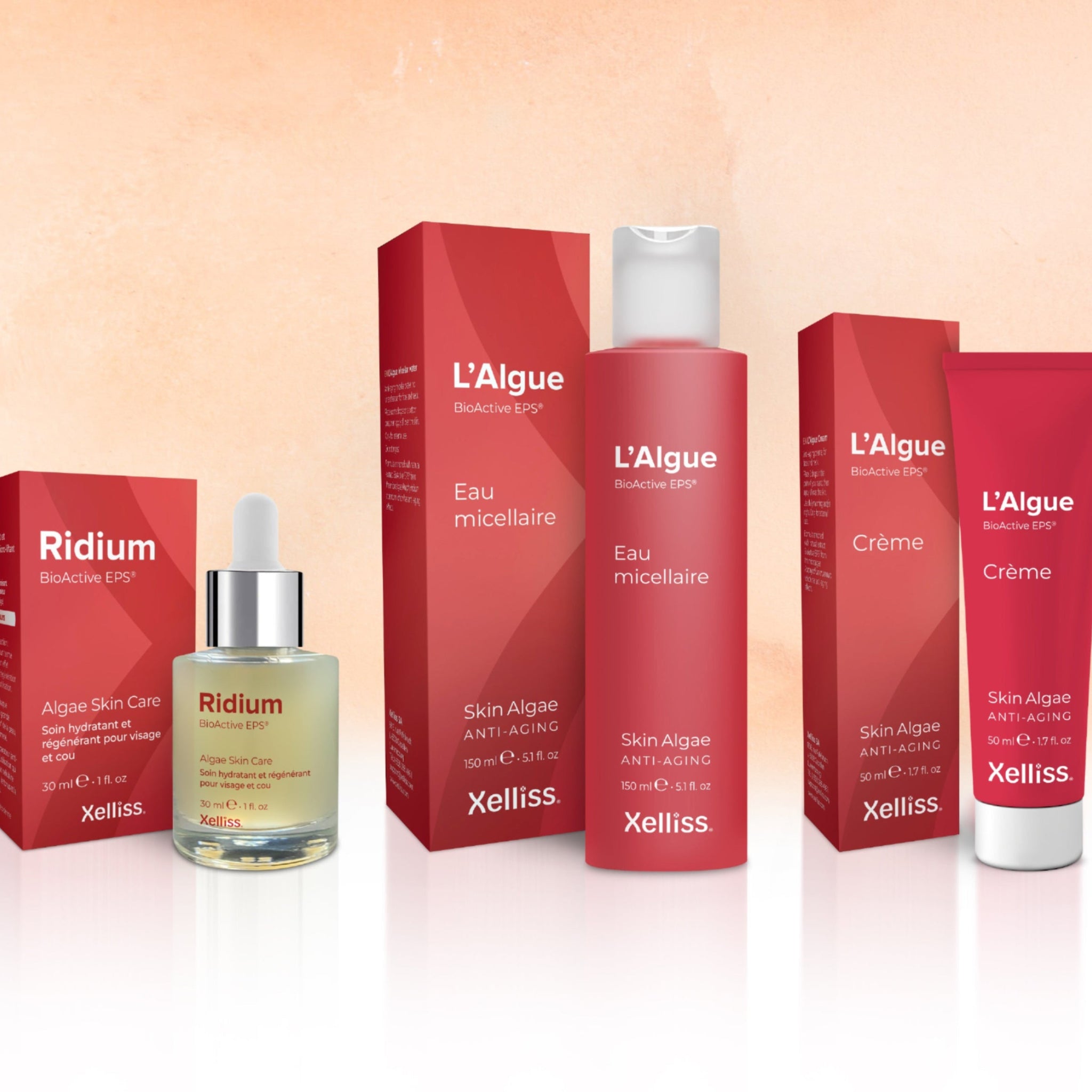 Pack Éclat des Fêtes